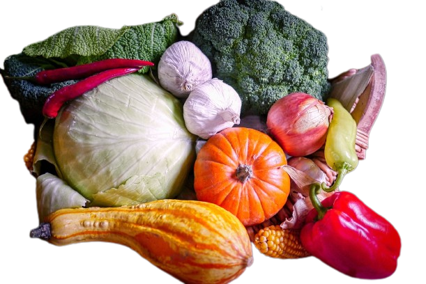 Povrće - o nama Agro Marić