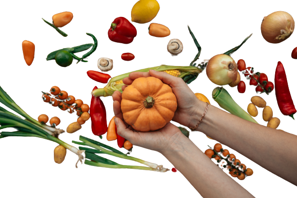 Agro Marić - povrće